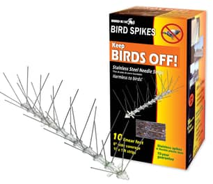 Thumbnail of the 10' STAINLESS BIRD SPIKES