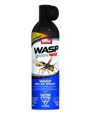 Thumbnail of the Ortho® Wasp B Gon™ Max Wasp Killer Spray 400g