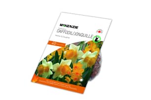 Thumbnail of the NARCISSUS MOTHER DAUGHTER 40 BULBS
