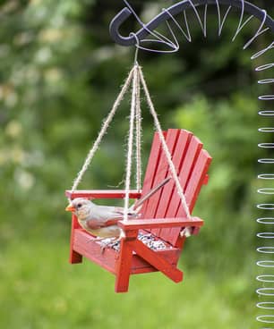Thumbnail of the Adirondack Red Chair Bird Feeder