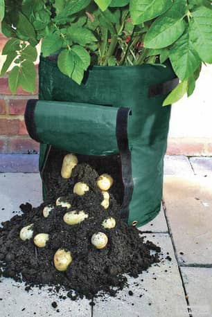 Thumbnail of the Potato Planting Bag