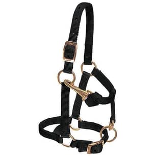 Thumbnail of the Weaver Leather Miniature Horse Adjustable Chin and Throat Snap Halter, Average, Black