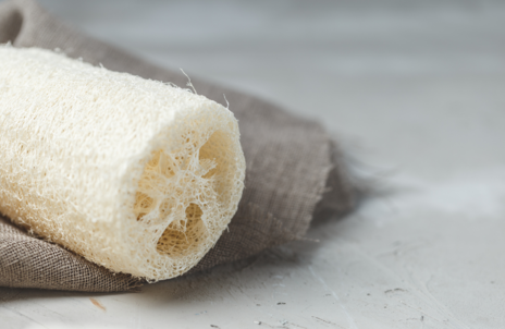 Read Article on Know How to Grow a Luffa and make Luffa Soap 