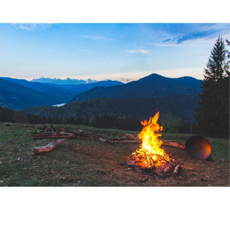 Read Article on Know How to Go Camping 