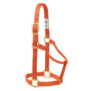 Thumbnail of the Weaver Leather Original Non-Adjustable Nylon Horse Halter, 1" Large, Orange