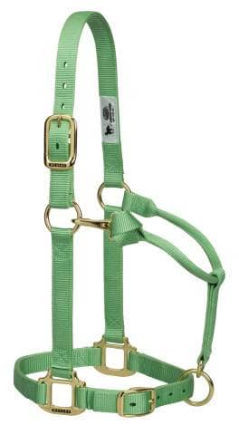 Thumbnail of the Weaver Leather Original Adjustable Chin and Throat Snap Halter 3/4" Weanling Pony, Lime Zest