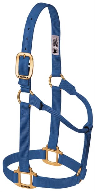 Thumbnail of the Non-Adjustable Nylon Halter, 1" Large Horse or 2-Year-Old Draft Large, Blue