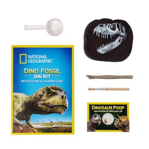 Thumbnail of the NATIONAL GEOGRAPHIC DINO DIG KIT