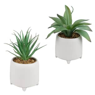 Thumbnail of the Artificial Succulents in 9 inch Pot with feet 2 Pack