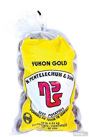 Thumbnail of the Yukon Gold Seed Potatoes
