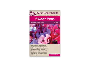 Thumbnail of the MAMMOTH BLEND SWEET PEAS