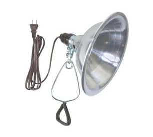 Thumbnail of the Clamp Light with 6' Cord & 8.5" Reflector