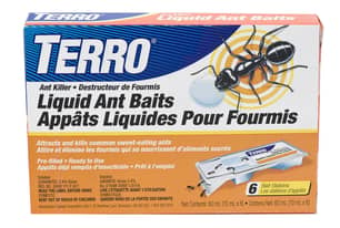 Thumbnail of the Terro® 6-Pack Liquid Ant Baits