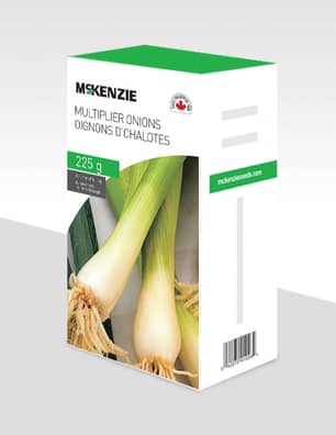 Thumbnail of the ONION MULTIPLIERS 225G