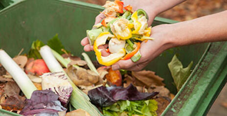 Read Article on How to Start Composting 