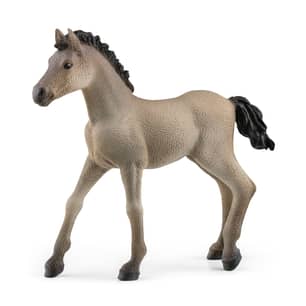 Thumbnail of the Schleich® Criollo Foal