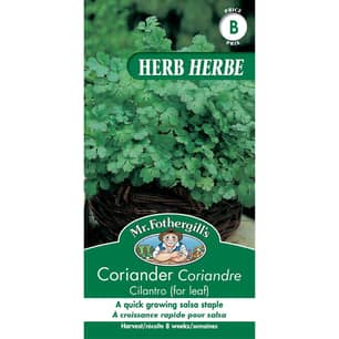 Thumbnail of the CORIANDER CILANTRO (FOR LEAF)