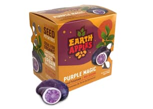 Thumbnail of the Purple Magic Potato