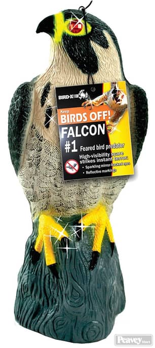 Thumbnail of the The Bird-B-Gone Red Tailed Hawk Decoy