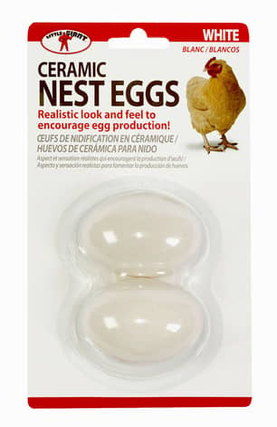 Thumbnail of the Ceramic Nest Eggs White