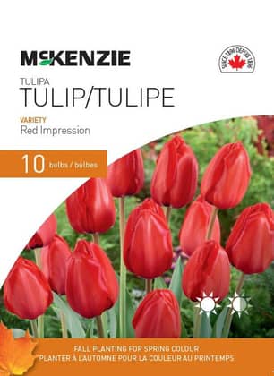 Thumbnail of the TULIP RED IMPRESSION 10 BULBS