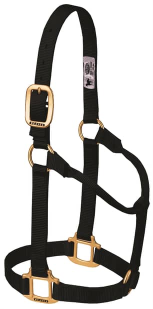 Thumbnail of the Weaver Leather Non-Adjustable Nylon Halter, 1" Small Horse or Weanling Draft Small, Black