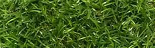Thumbnail of the Green Harvest Artificial Turf 1M x 3M