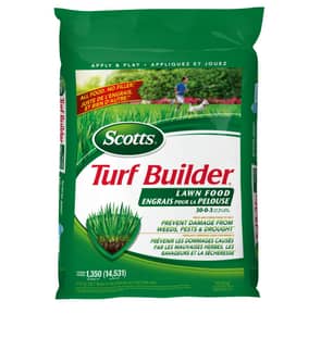 Thumbnail of the 17.6Kg Scotts 30-0-3 Turf Builder Lawn Fertilizer