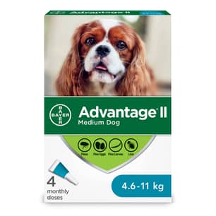 Thumbnail of the Advantage II Flea Treatment for Medium Dogs - 4 dose