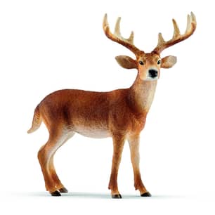 Thumbnail of the Schleich® Buck White Tailed