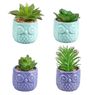 Thumbnail of the PLASTIC SUCCULENT IN OWL POT 4 INCH ASST GREEN
