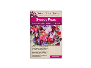 Thumbnail of the BUTTERFLY BLEND SWEET PEAS