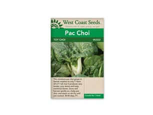Thumbnail of the TOY CHOY F1 PAC CHOI