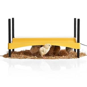 Thumbnail of the Brinsea EcoGlow Safety 1200 Chick Brooder