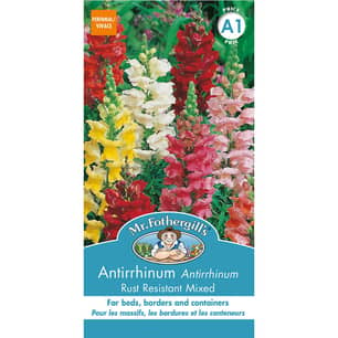 Thumbnail of the Mr. Fothergill's Antirrhinum Rust Resistant Mixed Seeds