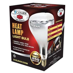 Thumbnail of the R40 250W Clear Heat Lamp Bulb