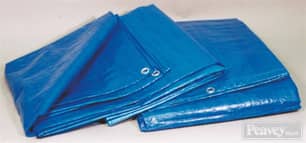 Thumbnail of the Inland Plastic® Light Duty Tarp - 6' x 8' Blue