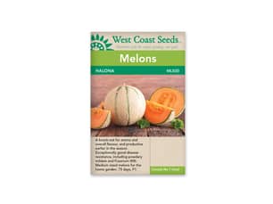 Thumbnail of the HALONA F1 MELONS