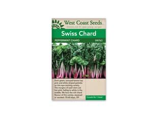 Thumbnail of the PEPPERMINT SWISS CHARD