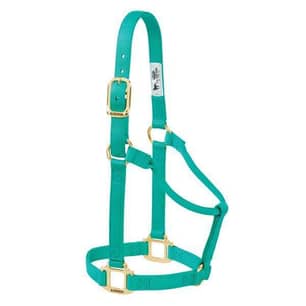 Thumbnail of the Original Non-Adjustable Nylon Horse Halter, Small, Emerald Green