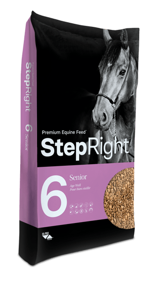 Thumbnail of the Step Right® Step 6 Senior - Age Well