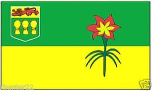 Thumbnail of the FLAG PROVINCIAL SK. 3X5'