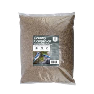 Thumbnail of the Country Companion Black Soldier Fly Grubs 4.5 KG