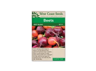 Thumbnail of the BEET BLEND BEETS