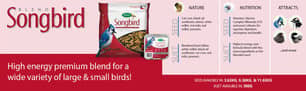 Thumbnail of the Scotts® Songbird Blend Jug Wild Bird Seed 2kg