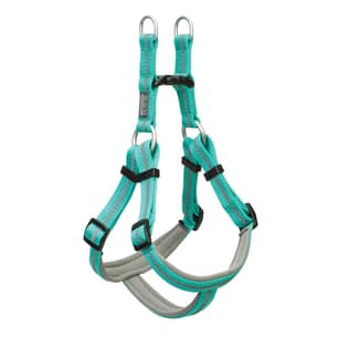 Thumbnail of the Reflective Neoprene Lined Dog Harness Large Mint