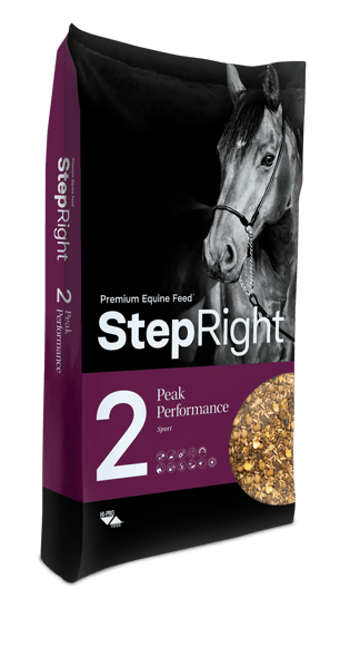 Thumbnail of the Step Right­­® Step 2 Peak Performance 20 kg