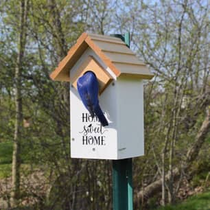 Thumbnail of the Natures Way® Farmhouse Bluebird House