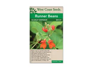 Thumbnail of the SCARLET EMPEROR BEANS