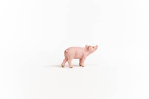 Thumbnail of the Schleich® Piglet